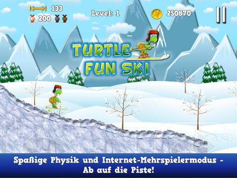 Turtle Fun Ski